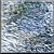 square121.gif