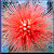 square249