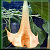 square250.gif