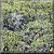square634