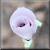 square687