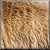 square802